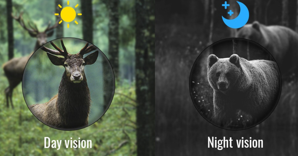 Best Night Vision Monocular of 2024 Night Vision Goggles Review